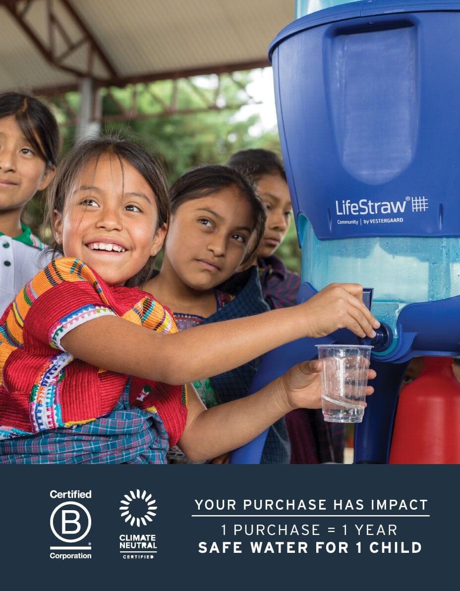 Disaster Master: LifeStraw Personal 25-pack - Image 6